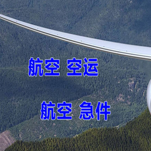 大理凤仪航空快运快递-选东方航空和上海航空