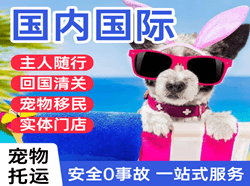 大理凤仪航空快运国际宠物托运 【国